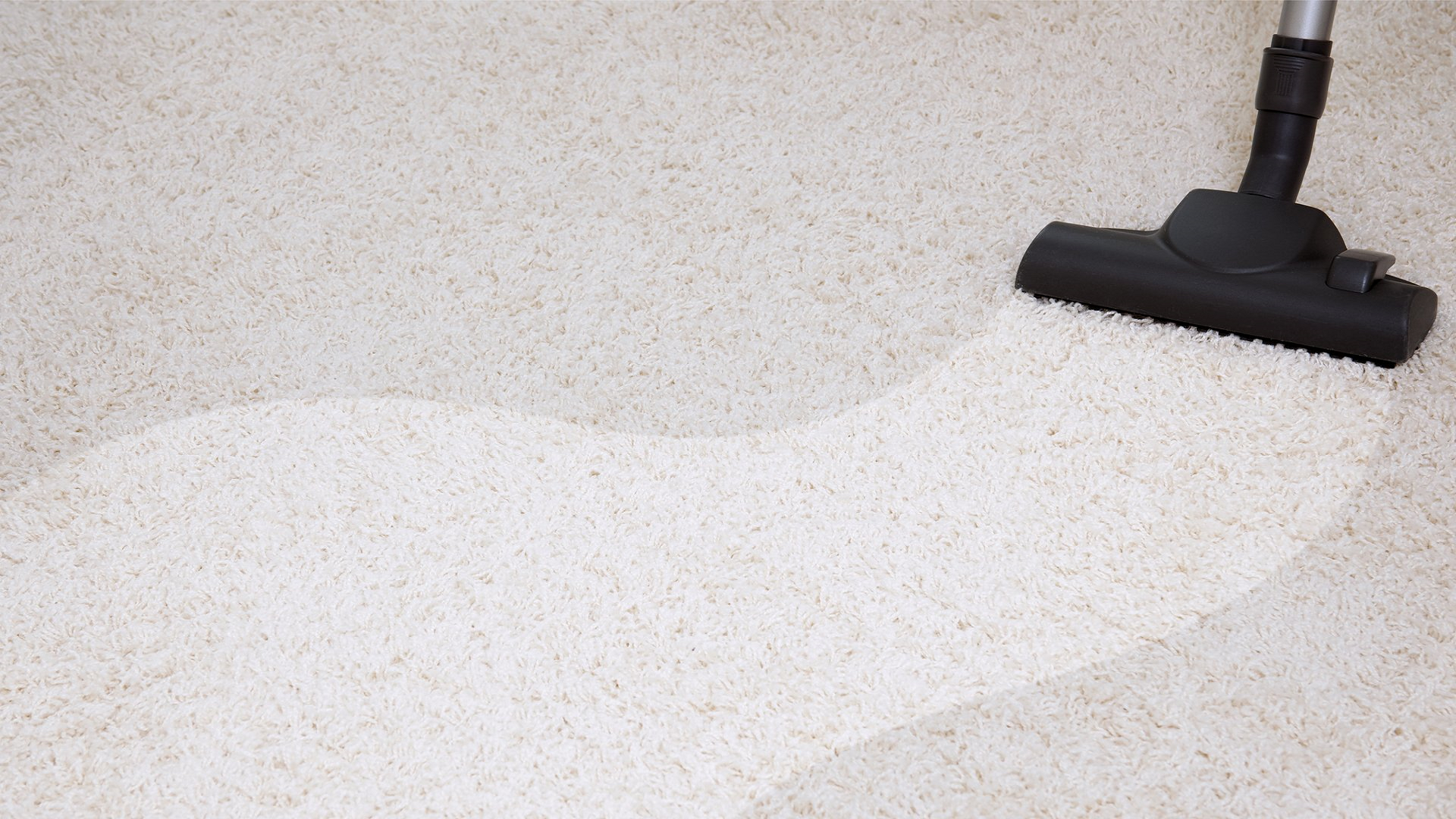 Your Local Carpet Care Experts in Plano