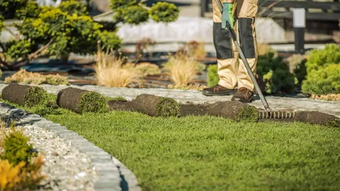 Landscaping Company in Warrington PA